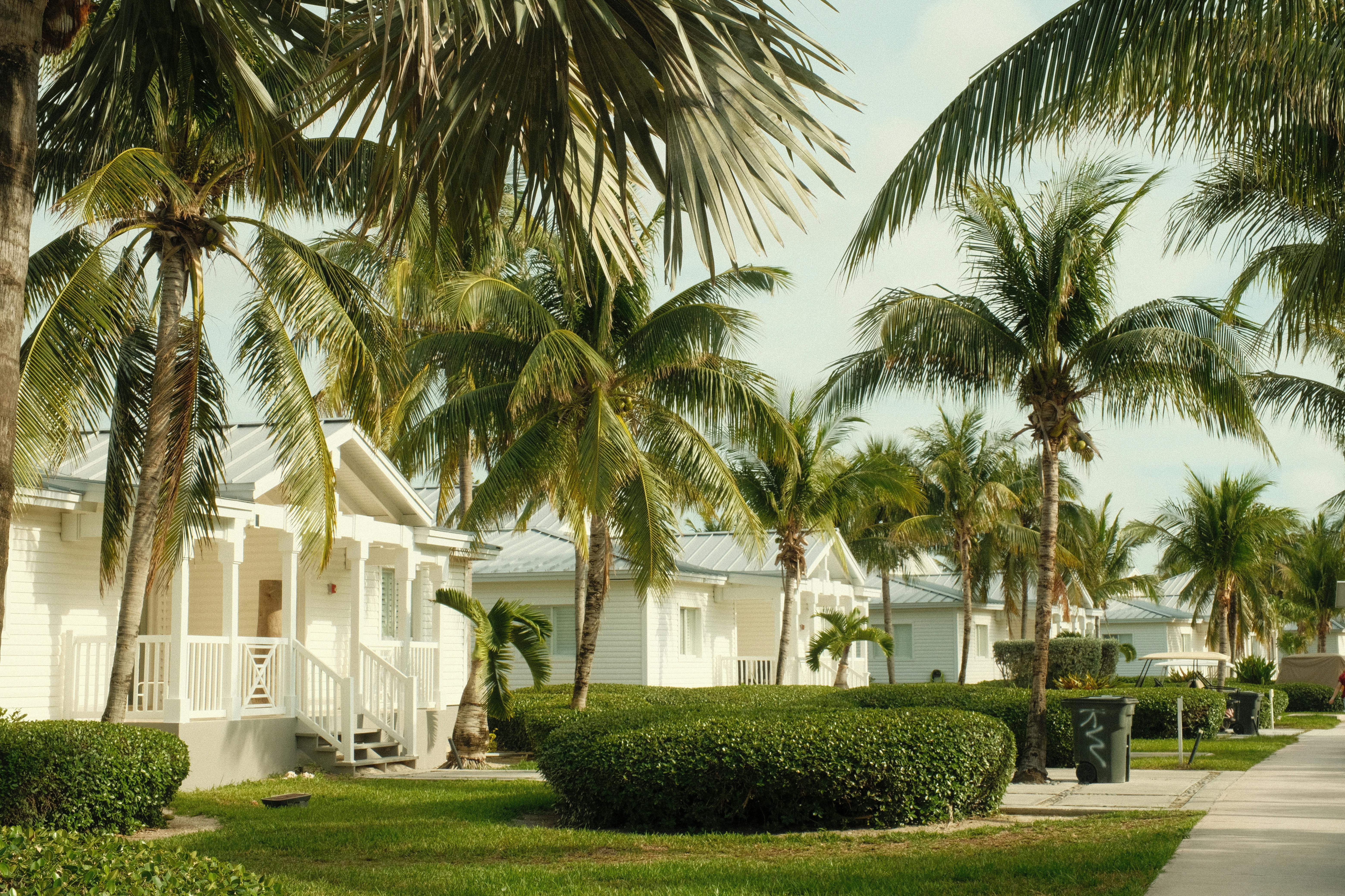 Erica Goez - Licensed Massage Therapist